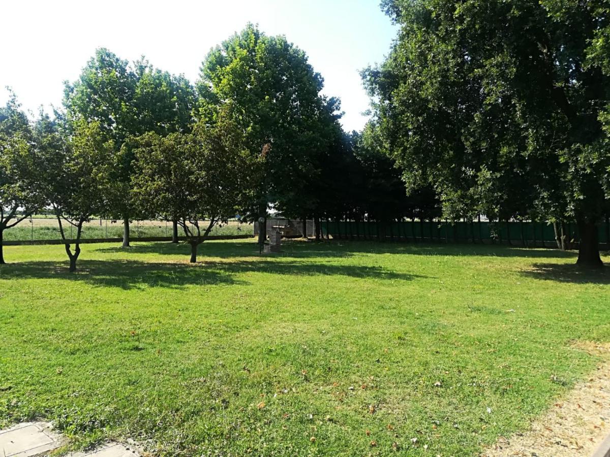 B&B Tenuta Madiba Ravenna Exteriér fotografie
